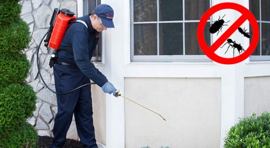Başakşehir Akrep İlaçlama böcek ilaçlama ve haşere kontrolü — ilaclama-tr.com